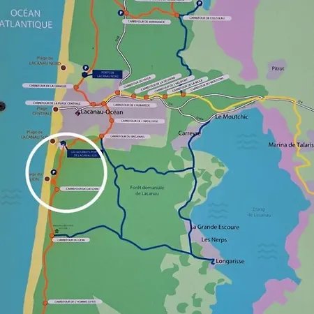 Des Ecureuils A Ocean Semesterbostad Lacanau