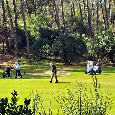 Des écureuils * Lacanau