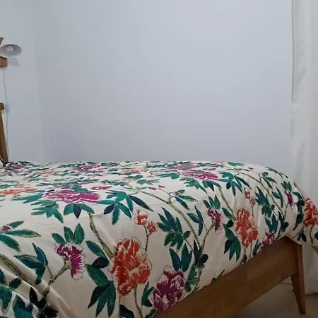 Des écureuils Lacanau