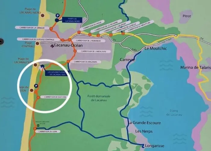 Des écureuils Casa vacanze Lacanau