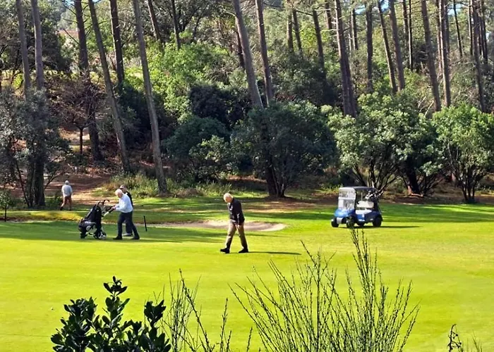 Des écureuils * Lacanau