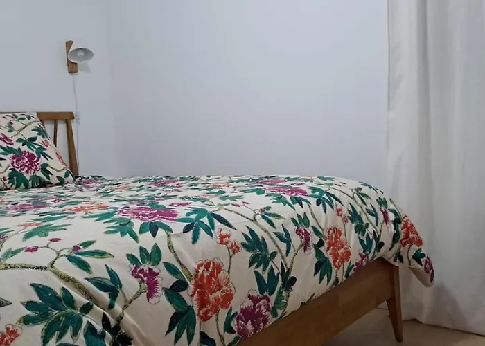 Des écureuils Lacanau