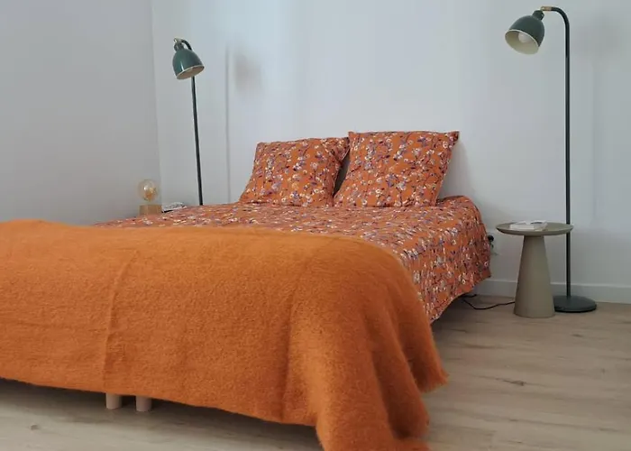 Tatil Evi Des Ecureuils *